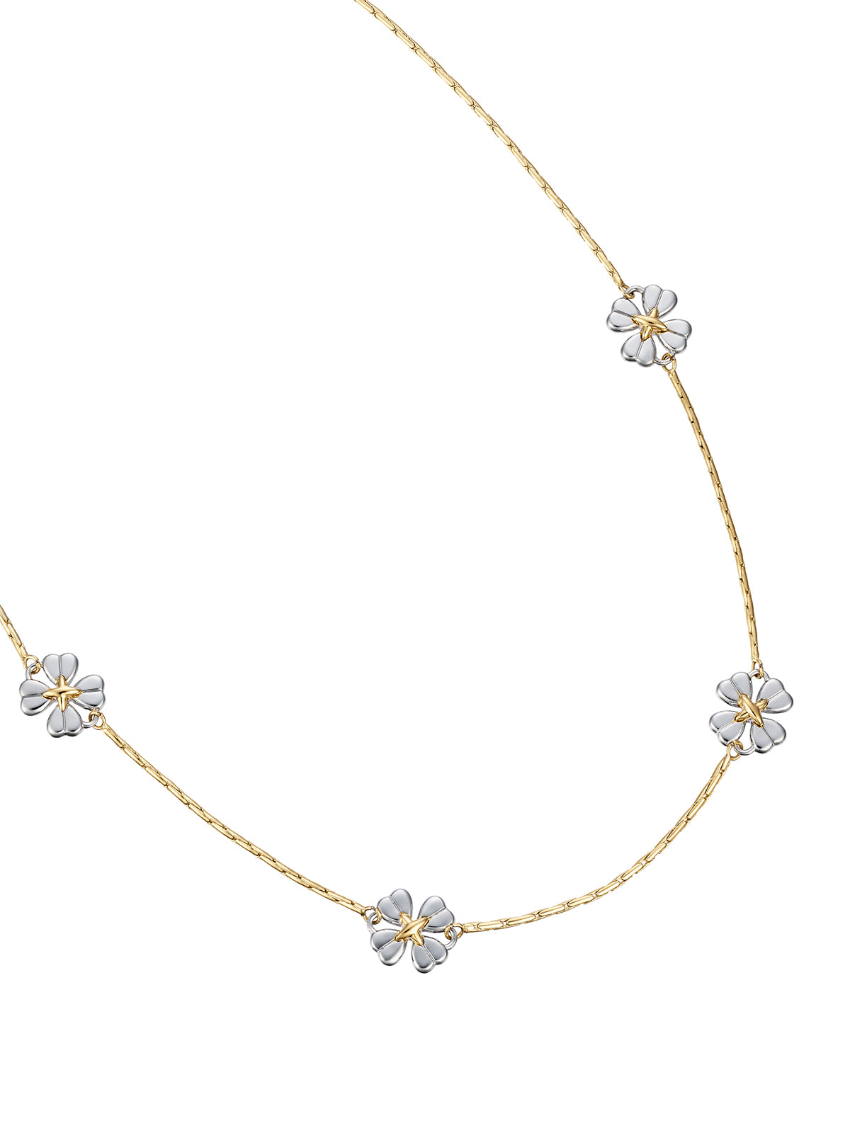 upload_20251030_24FNCV05CBFF_005_Clover Dot Collar 11.jpg